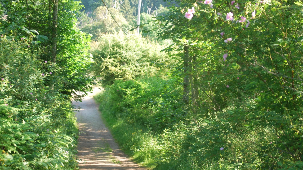 Photo of Outdoor in Long Harbour