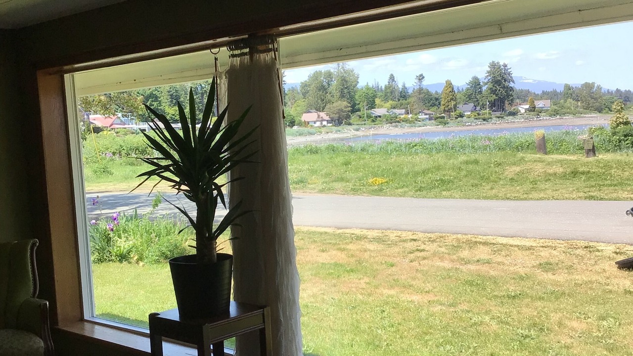 Photo of Others in Courtenay