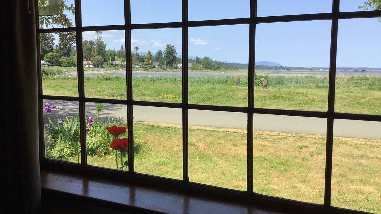 Photo of Others in Courtenay