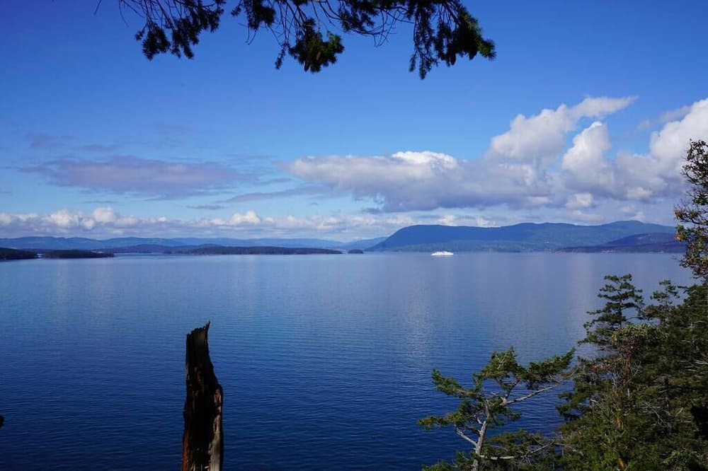 Photo of Others in Pender Island