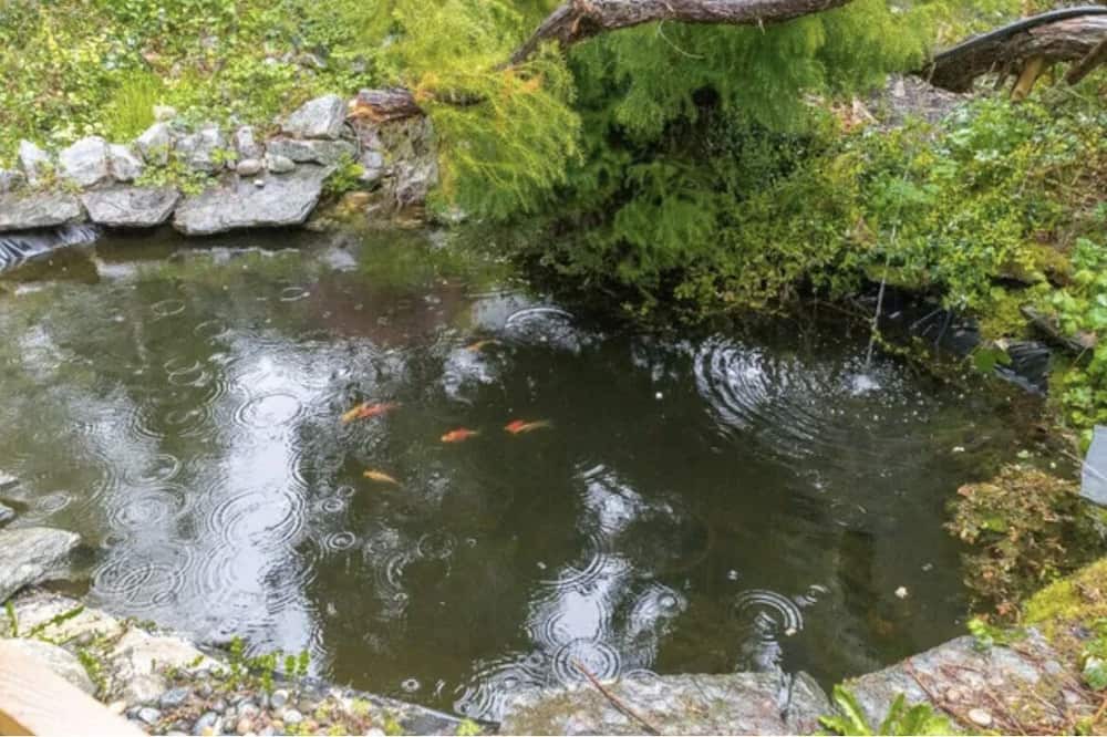 Photo of Outdoor in Maple Ridge