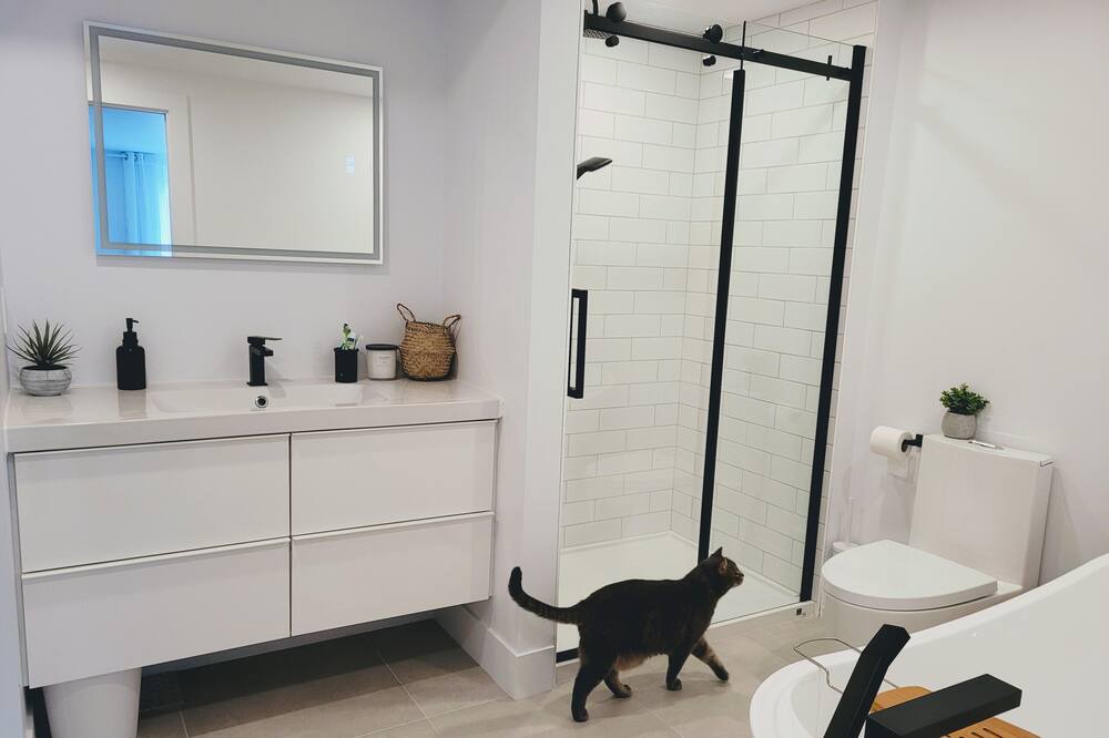 Photo of Bathroom in Ahuntsic