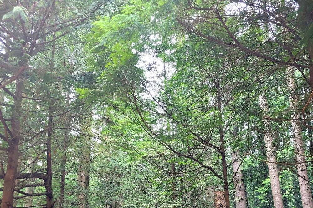 Photo of Outdoor in East Kootenay