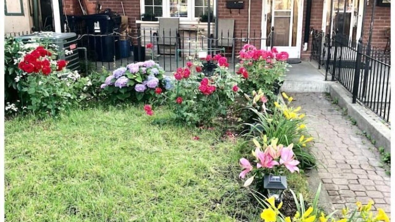 Photo of Outdoor in Trinity - Bellwoods
