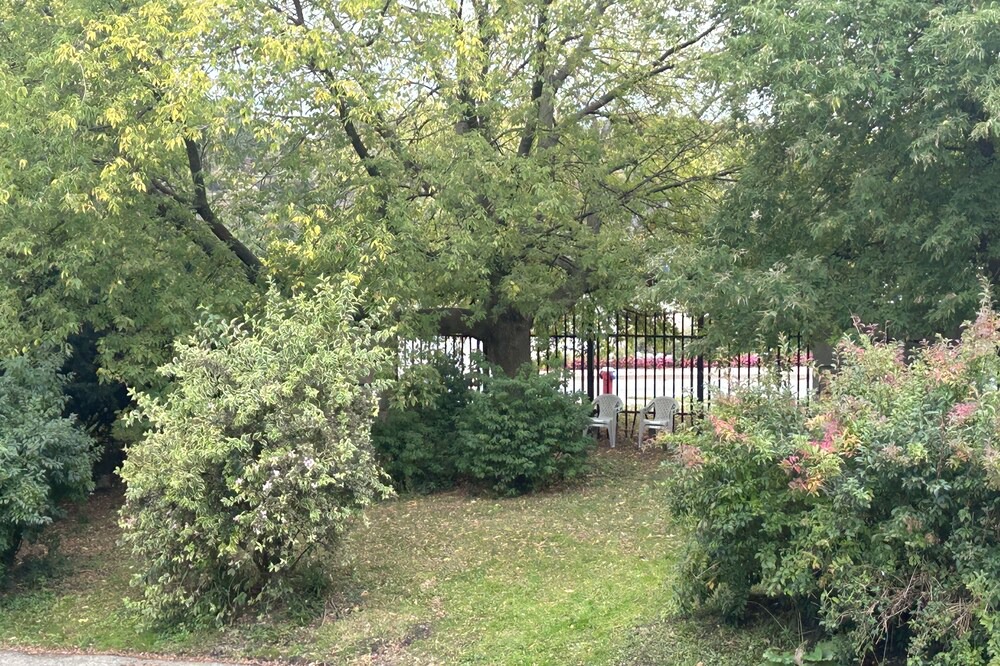 Photo of Outdoor in Downtown Niagara Falls
