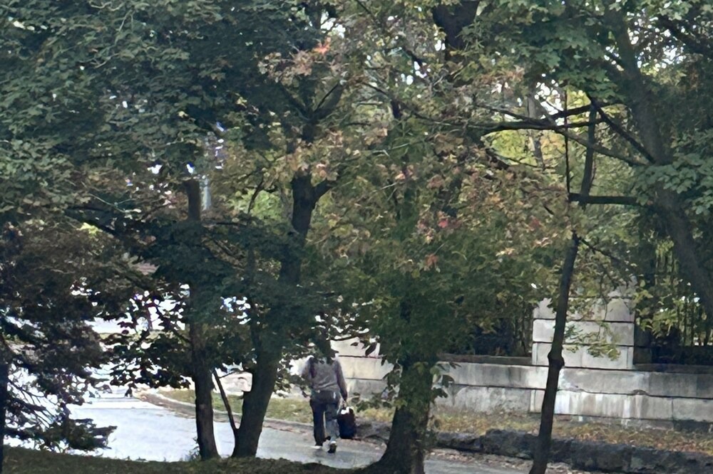 Photo of Outdoor in Downtown Niagara Falls