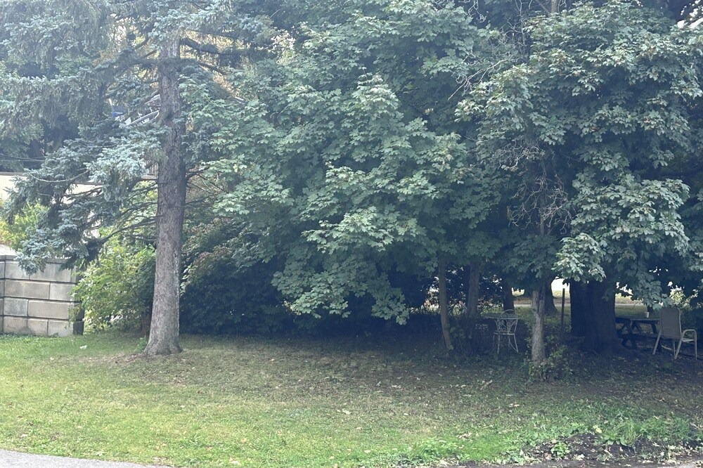 Photo of Outdoor in Downtown Niagara Falls