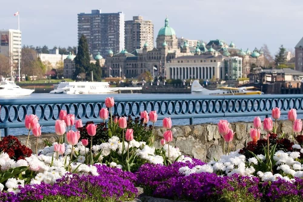 Photo of Outdoor in Inner Harbour
