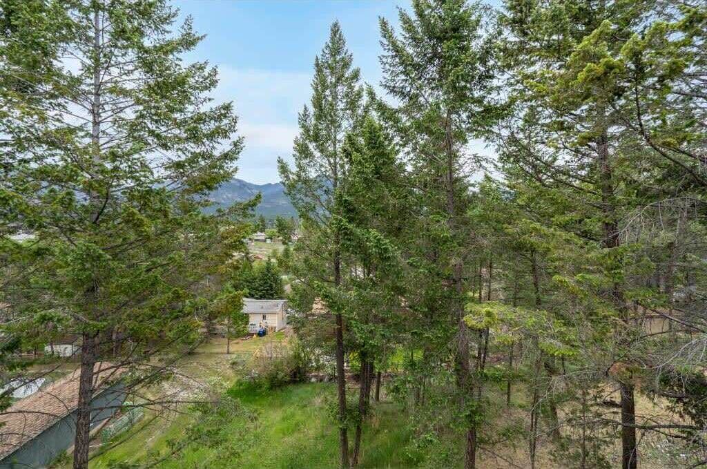 Photo of Others in Invermere
