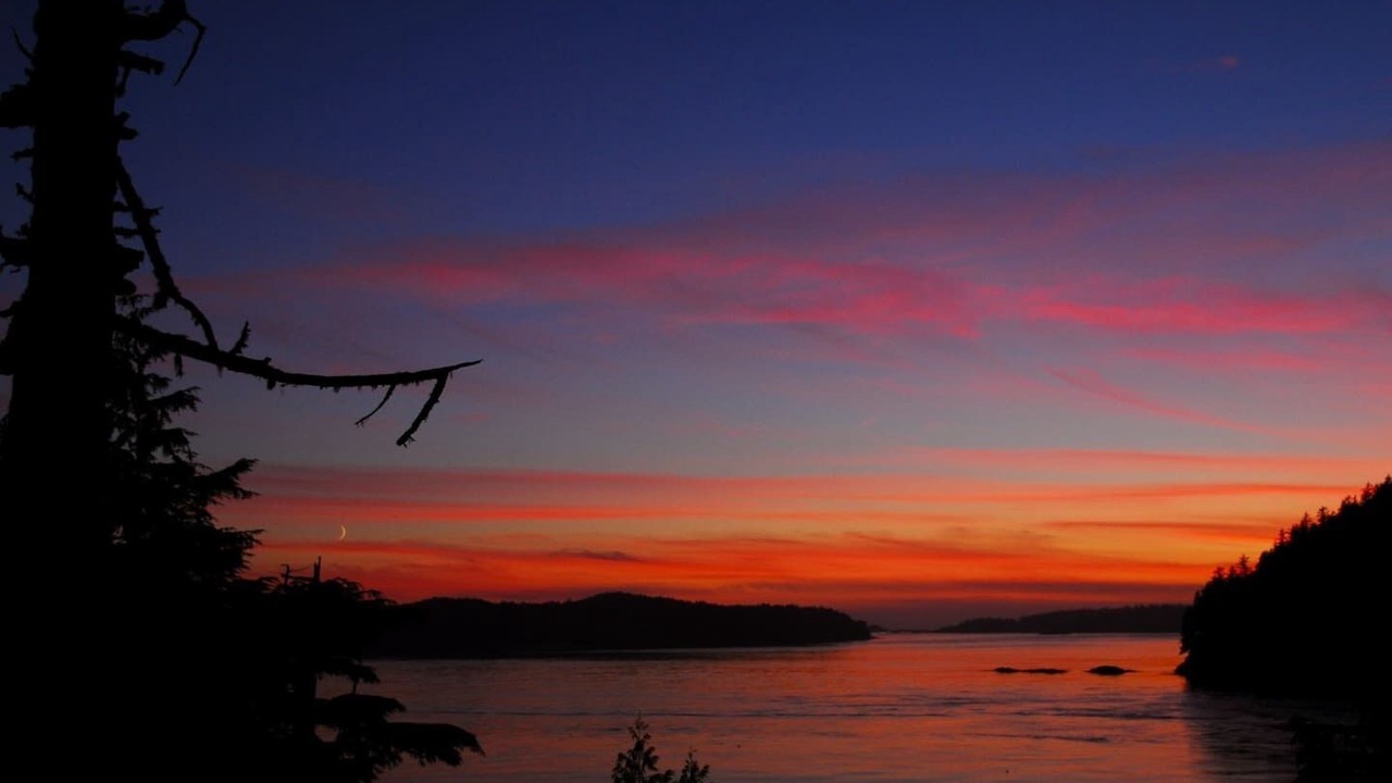 Photo of Others in Tofino