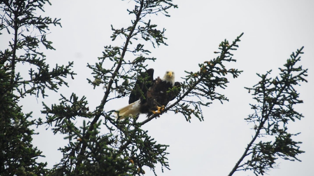 Photo of Outdoor in Tofino