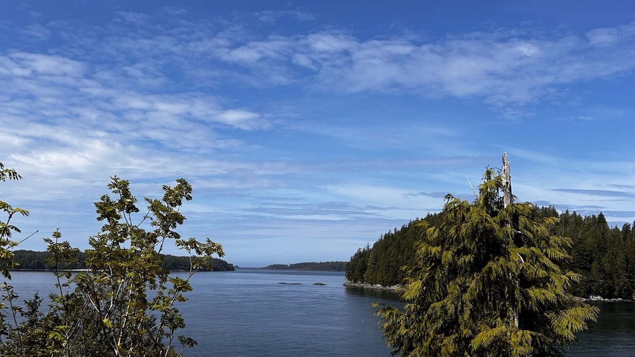 Photo of Outdoor in Tofino