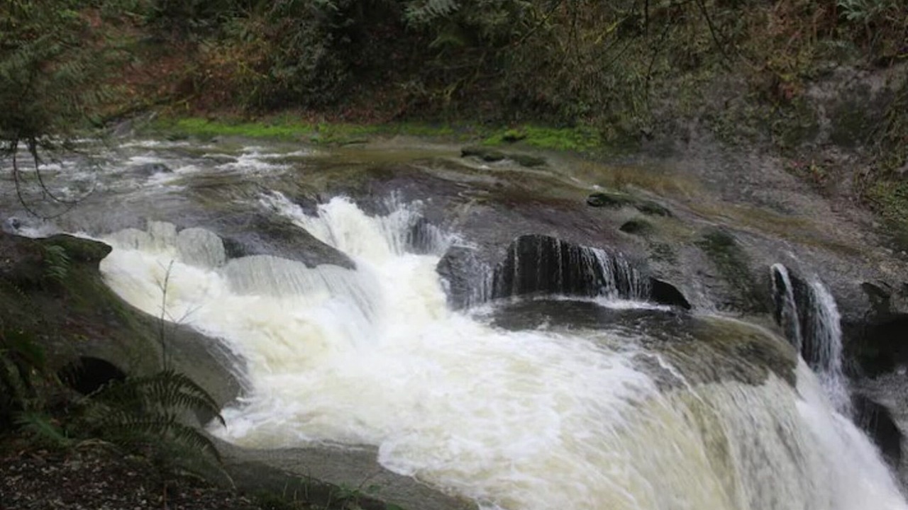 Photo of Others in Maple Ridge