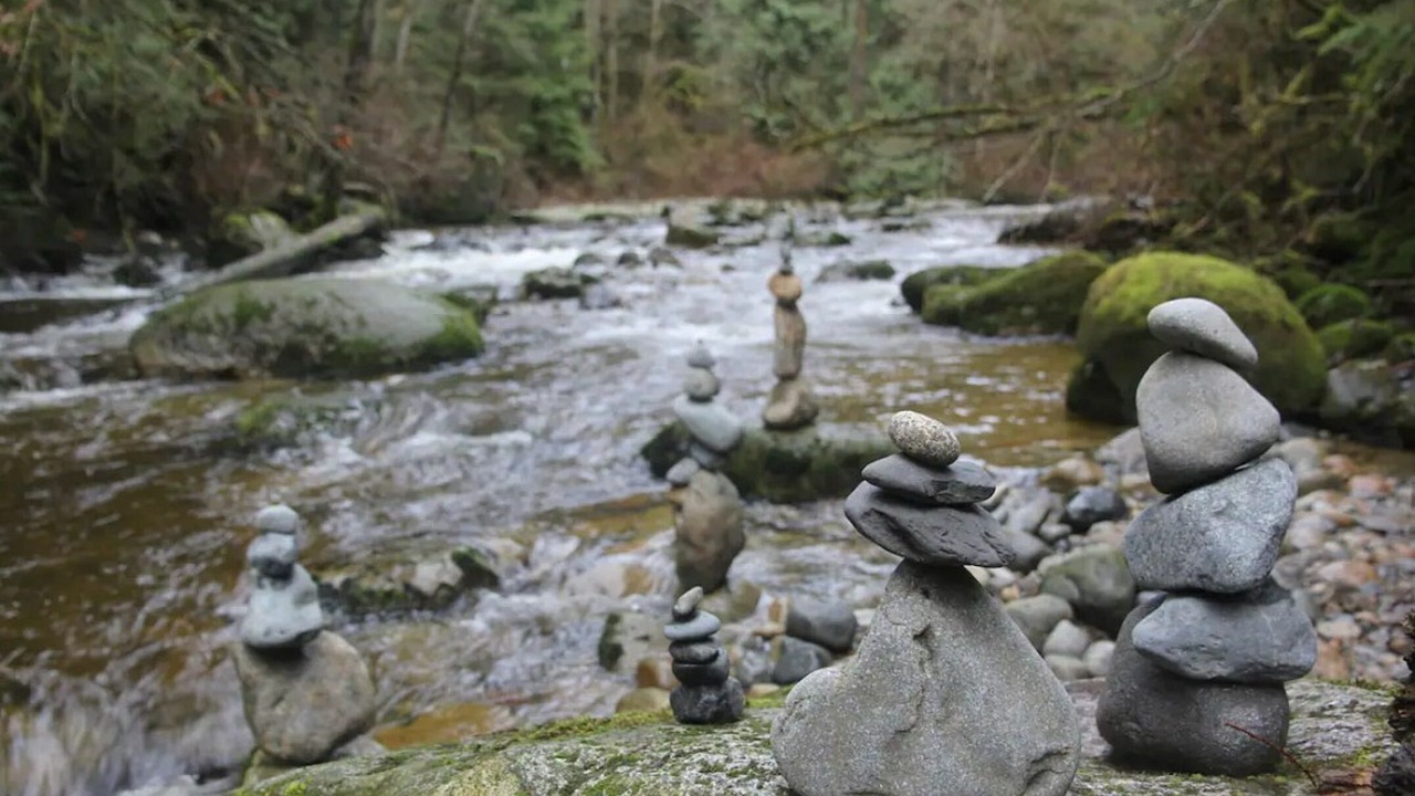 Photo of Outdoor in Maple Ridge