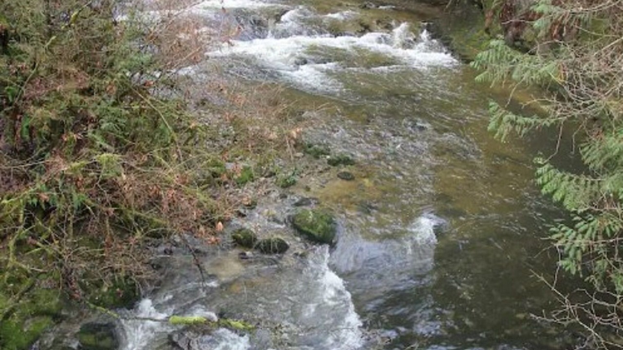 Photo of Outdoor in Maple Ridge