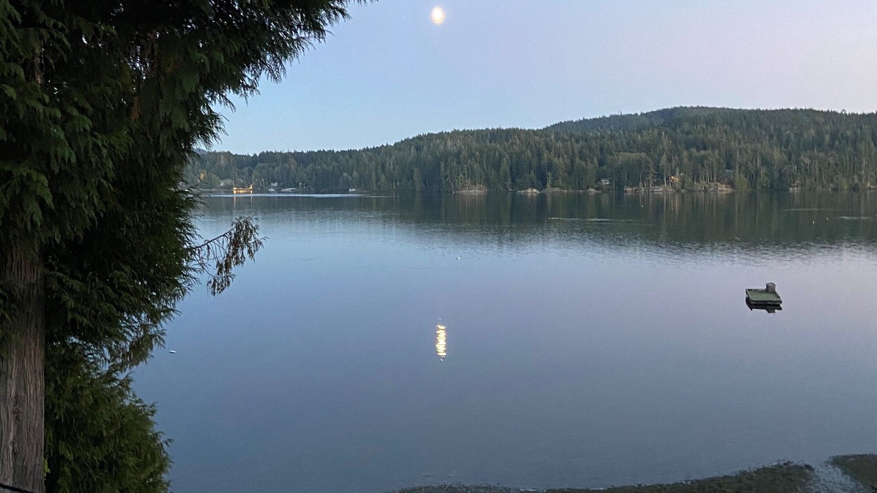 Photo of Others in Sooke