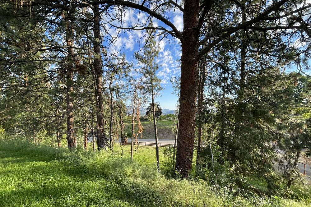 Photo of Outdoor in Southeast Kelowna