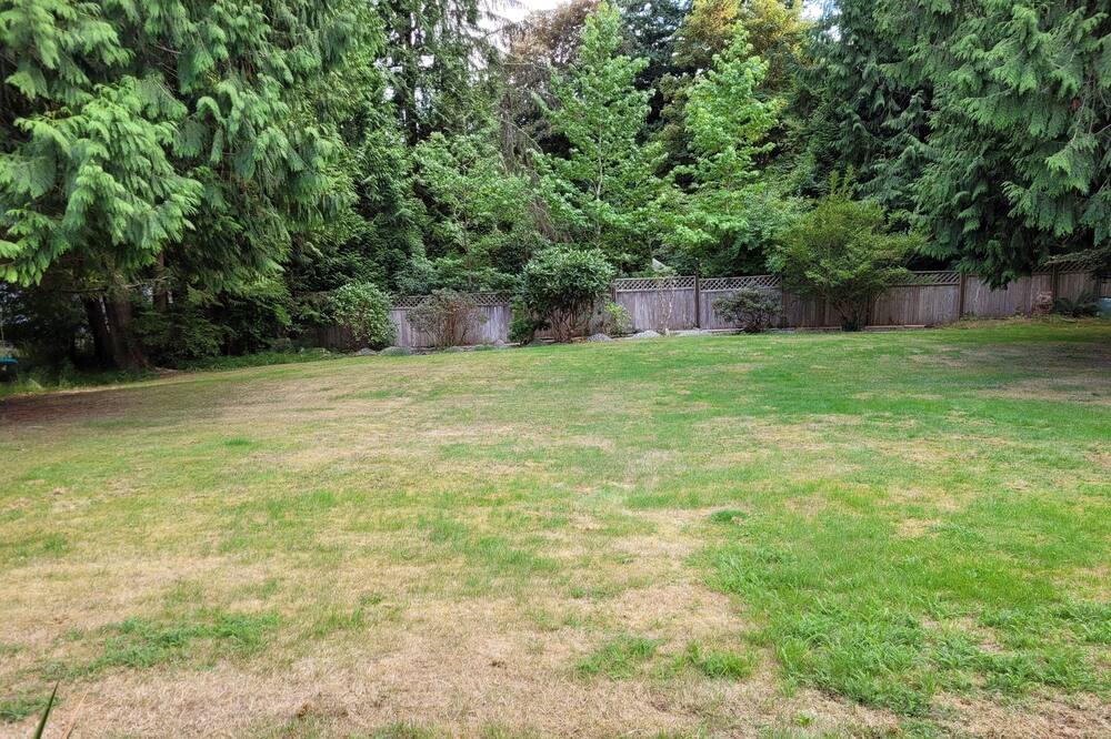 Photo of Outdoor in Gibsons