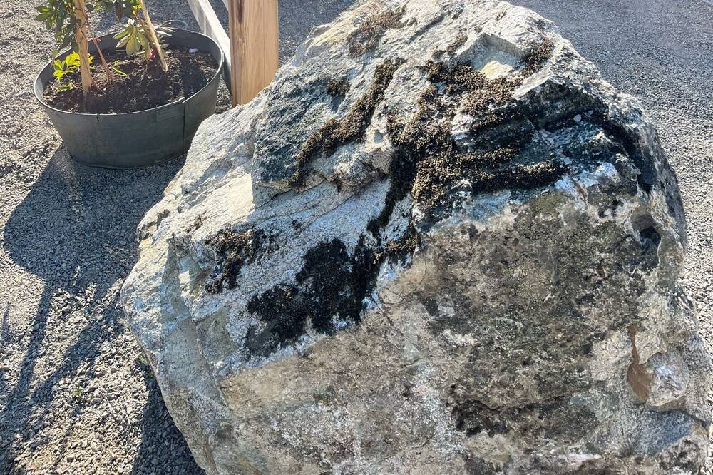 Photo of Outdoor in Okanagan-Similkameen