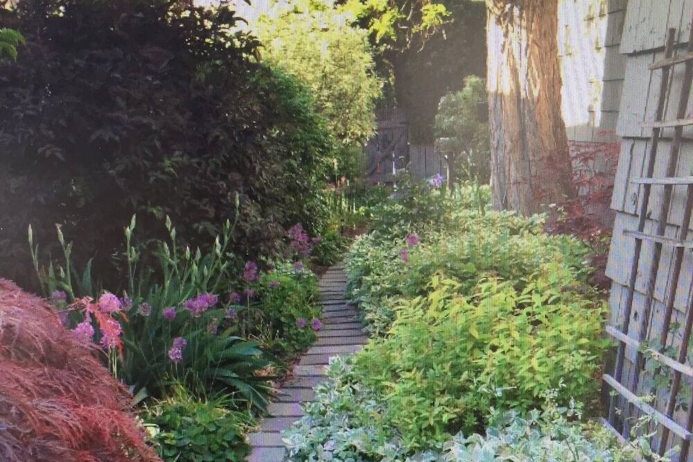 Photo of Outdoor in South Central