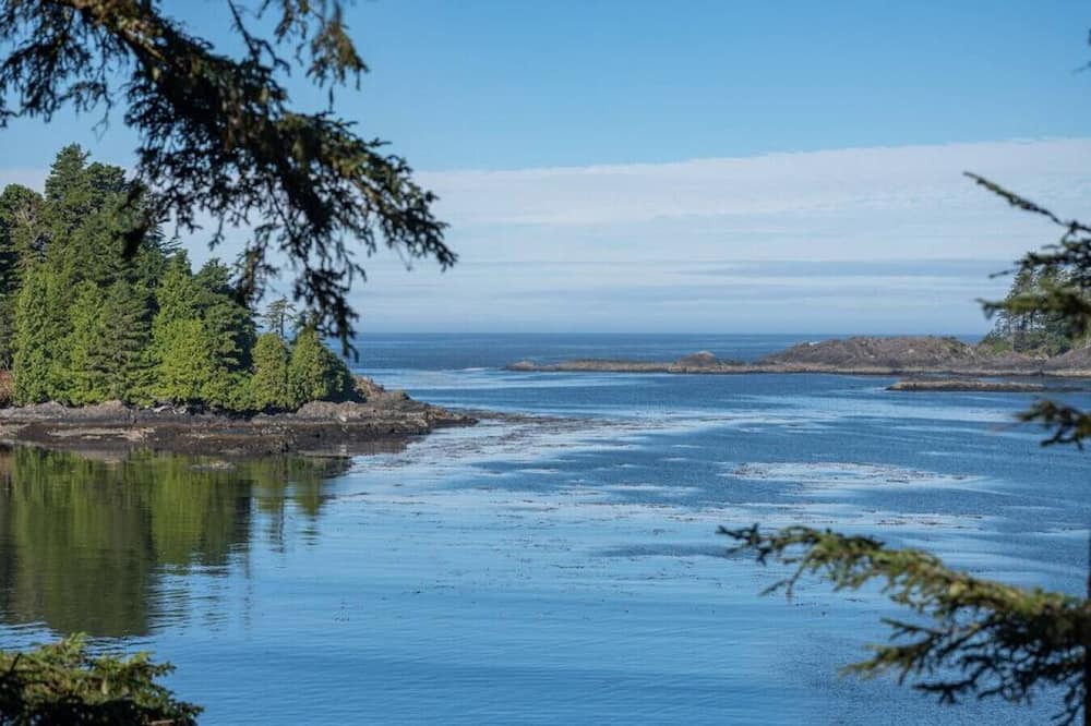 Photo of Others in Ucluelet