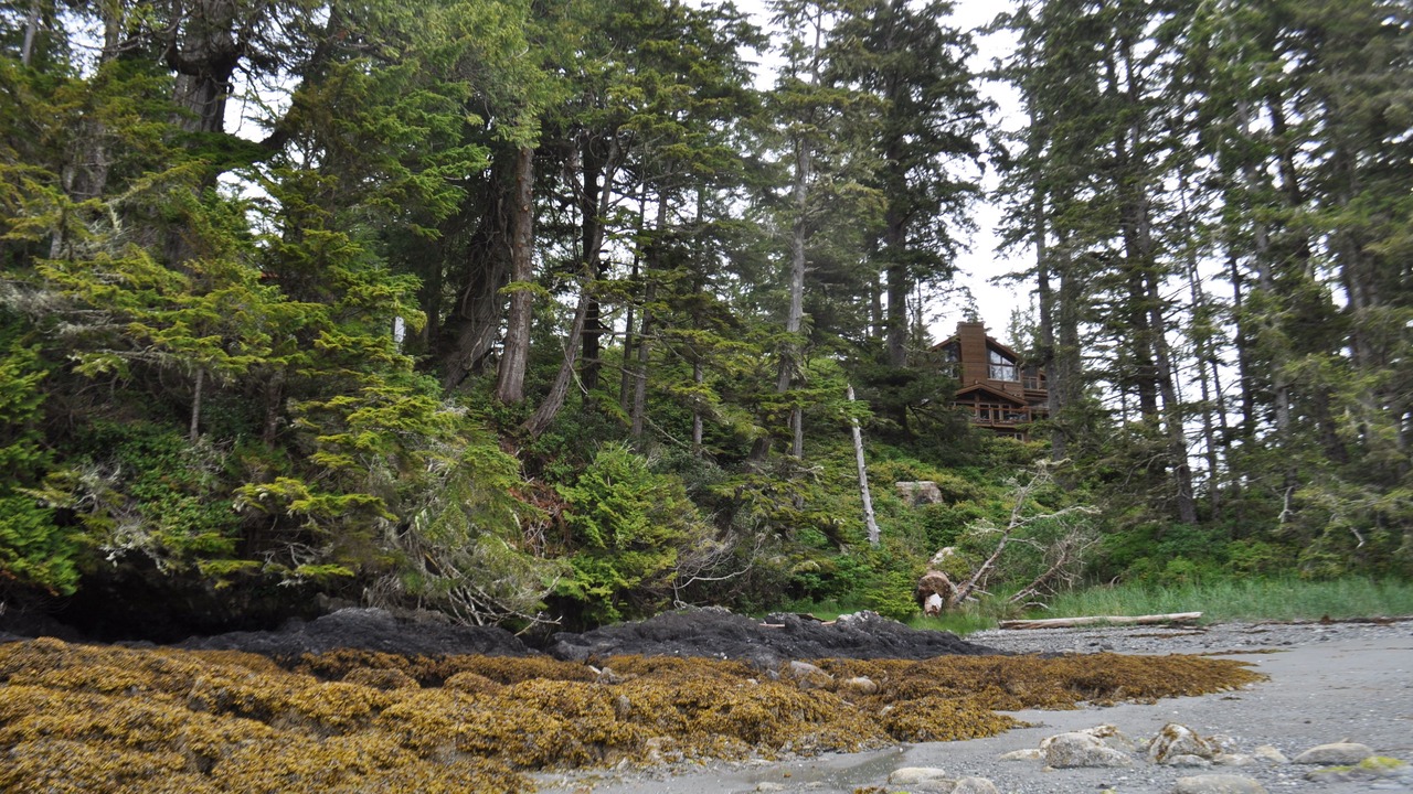 Photo of Outdoor in Ucluelet