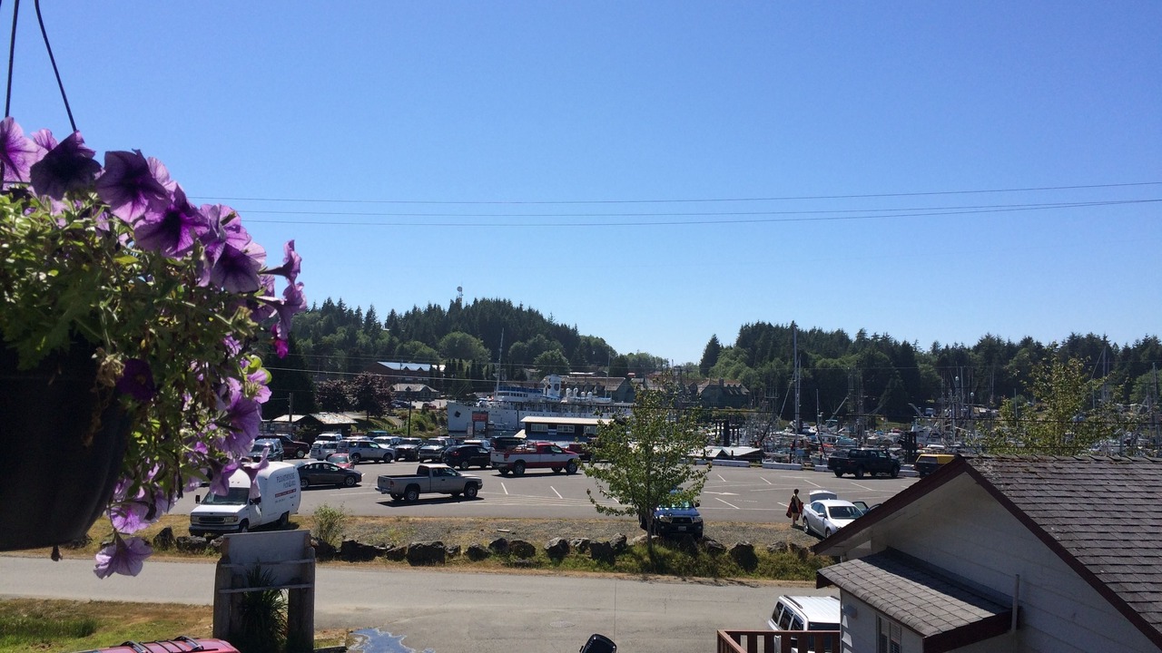 Photo of Others in Ucluelet