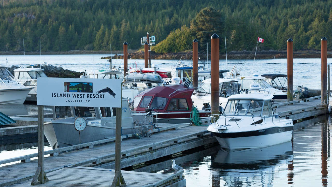 Photo of Others in Ucluelet