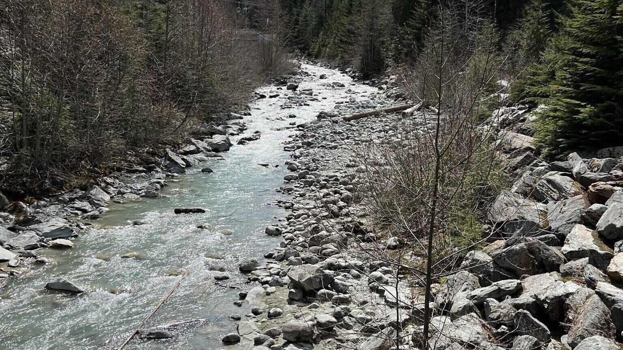 Photo of Others in Whistler