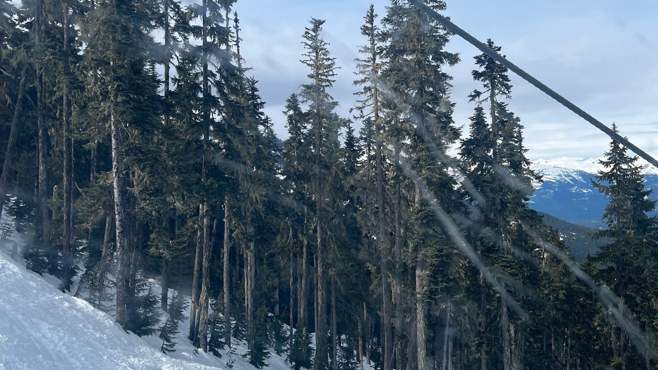 Photo of Others in Whistler