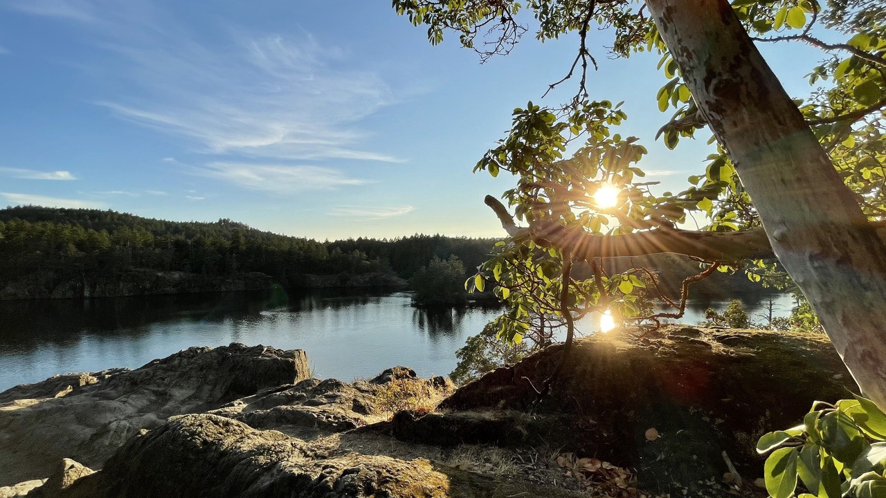 Photo of Others in Langford