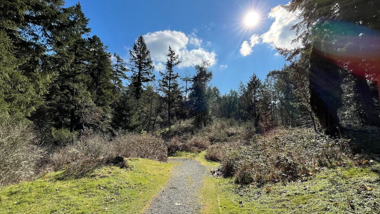 Photo of Outdoor in Langford