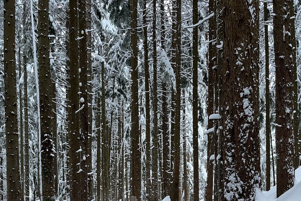 Photo of Others in Vancouver