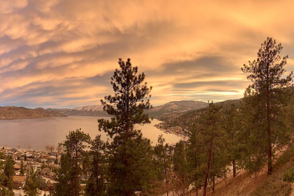Photo of Others in Central Okanagan