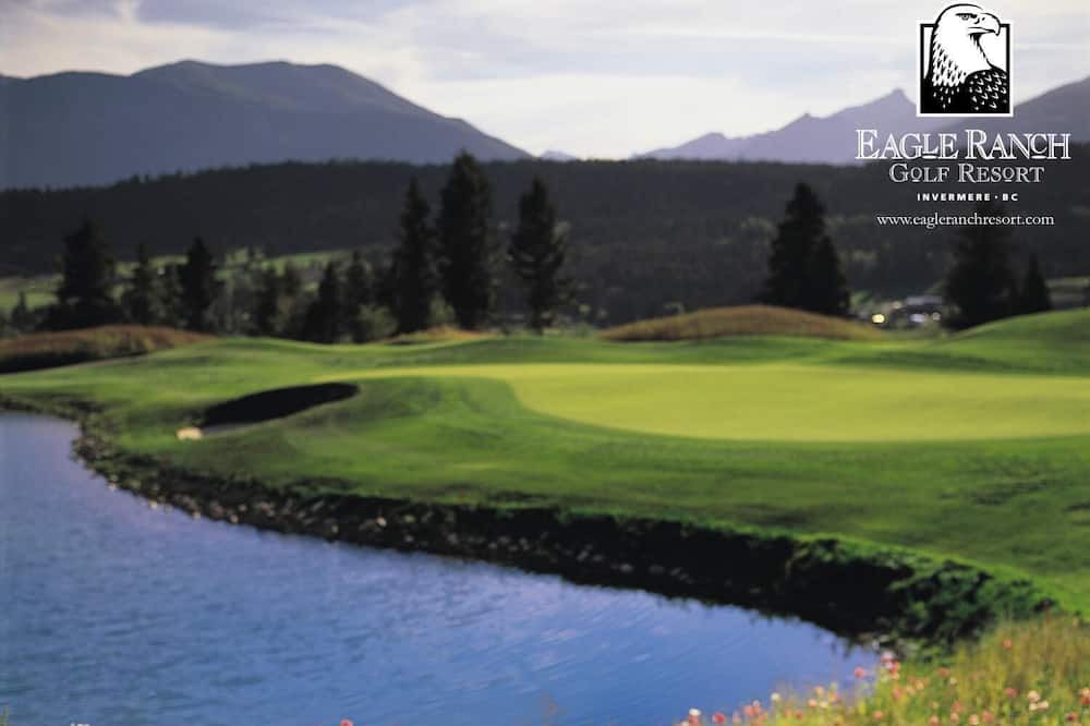 Photo of Others in Invermere