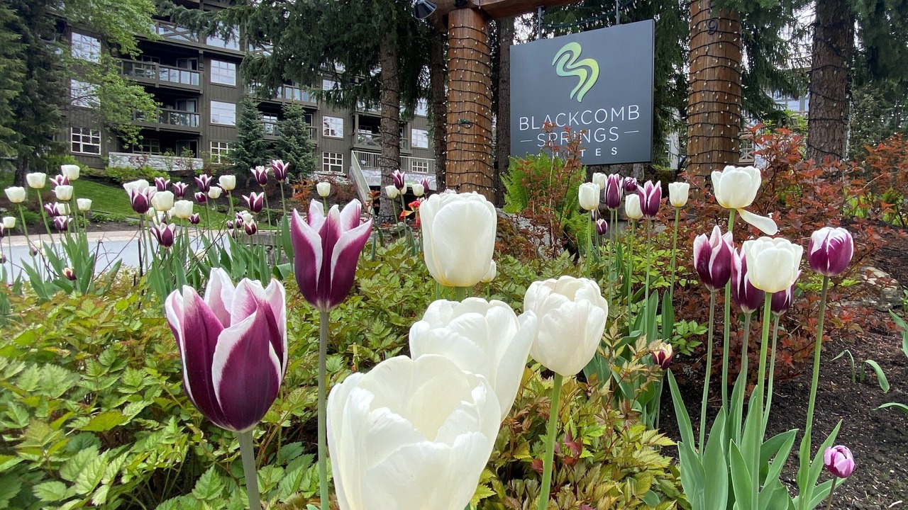 Photo of Outdoor in Upper Village
