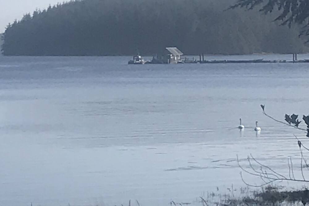 Photo of Others in Ucluelet