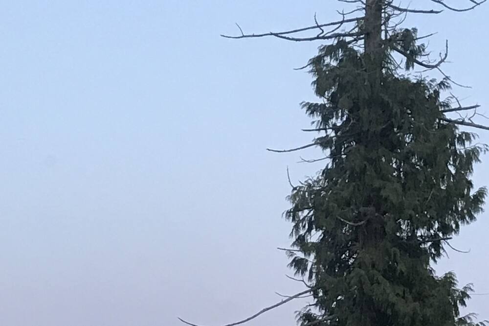 Photo of Others in Ucluelet