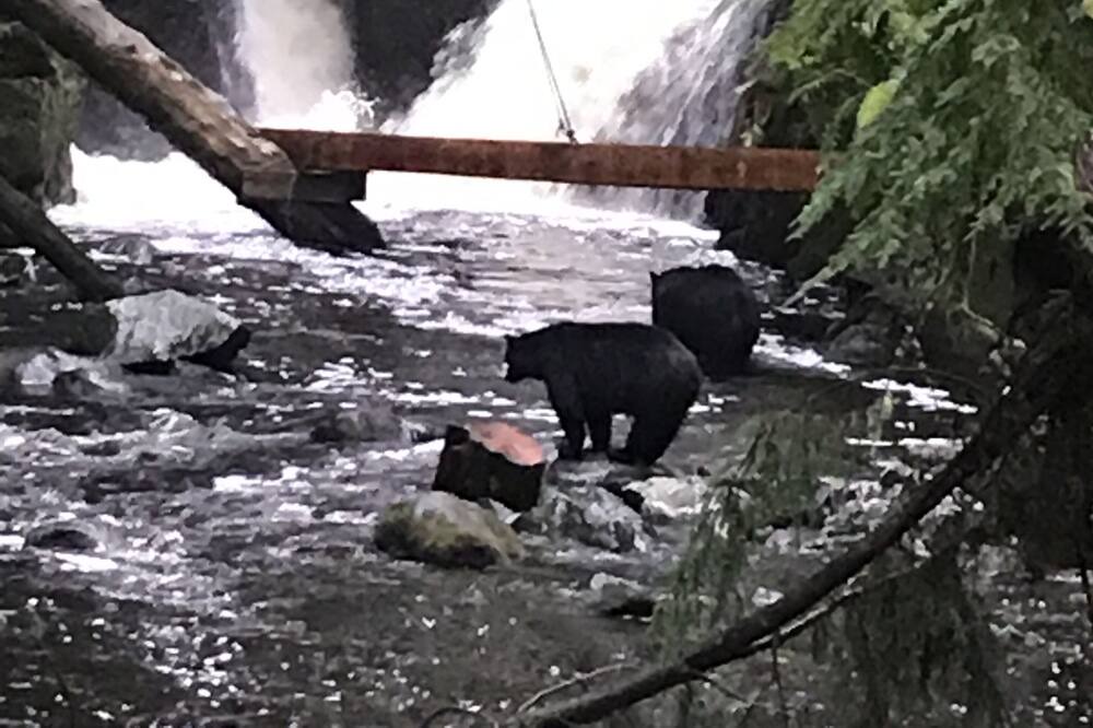 Photo of Outdoor in Ucluelet