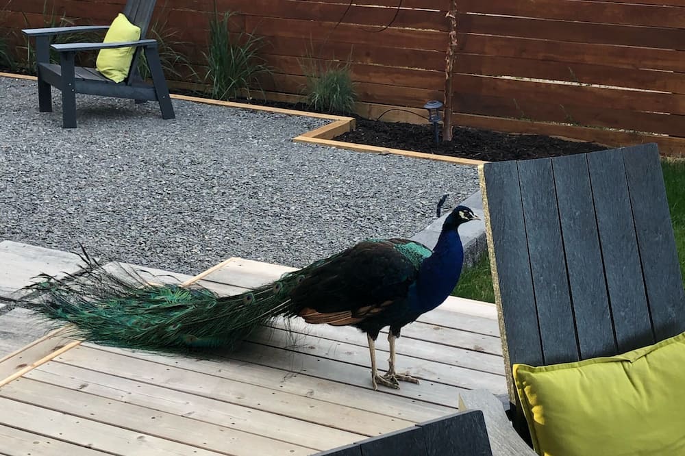 Photo of Patio Balcony in Okanagan-Similkameen
