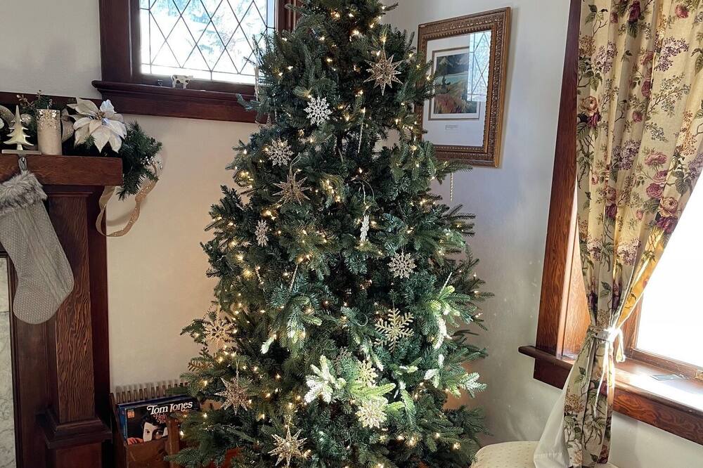 Photo of Livingroom in Hillhurst