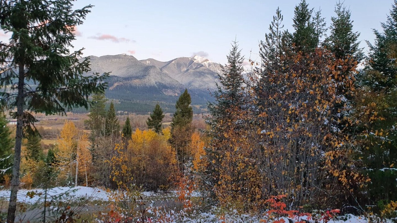 Photo of Outdoor in Golden