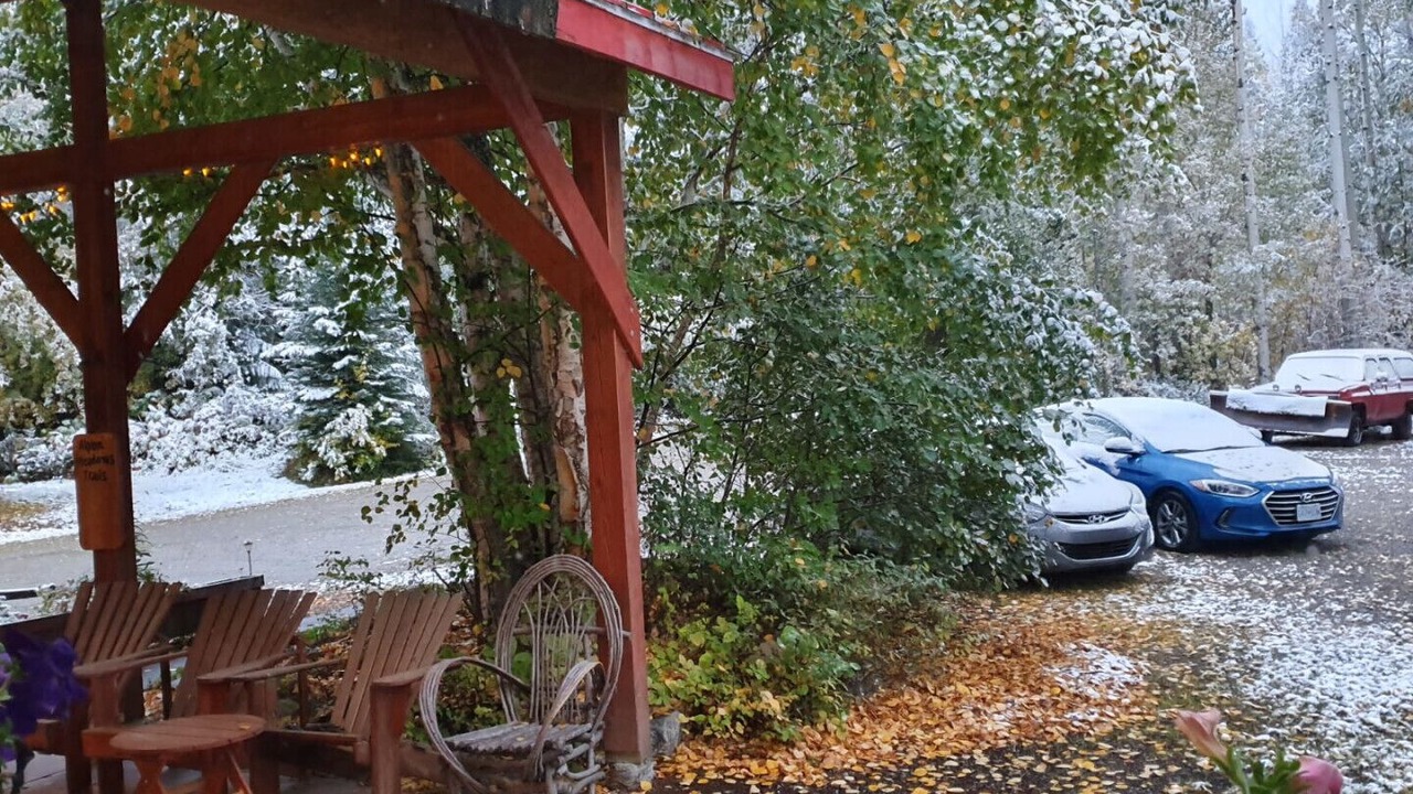 Photo of Outdoor in Golden