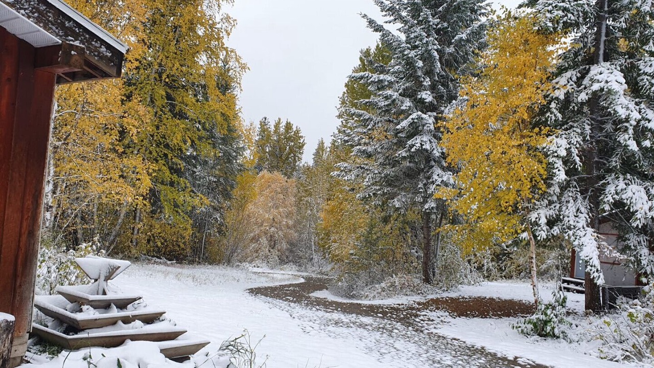 Photo of Outdoor in Golden