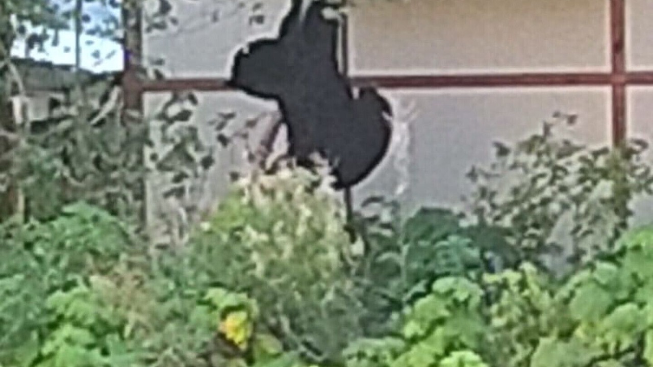 Photo of Outdoor in Golden