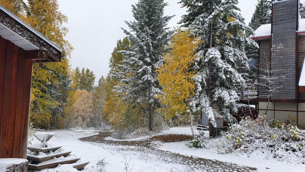 Photo of Outdoor in Golden