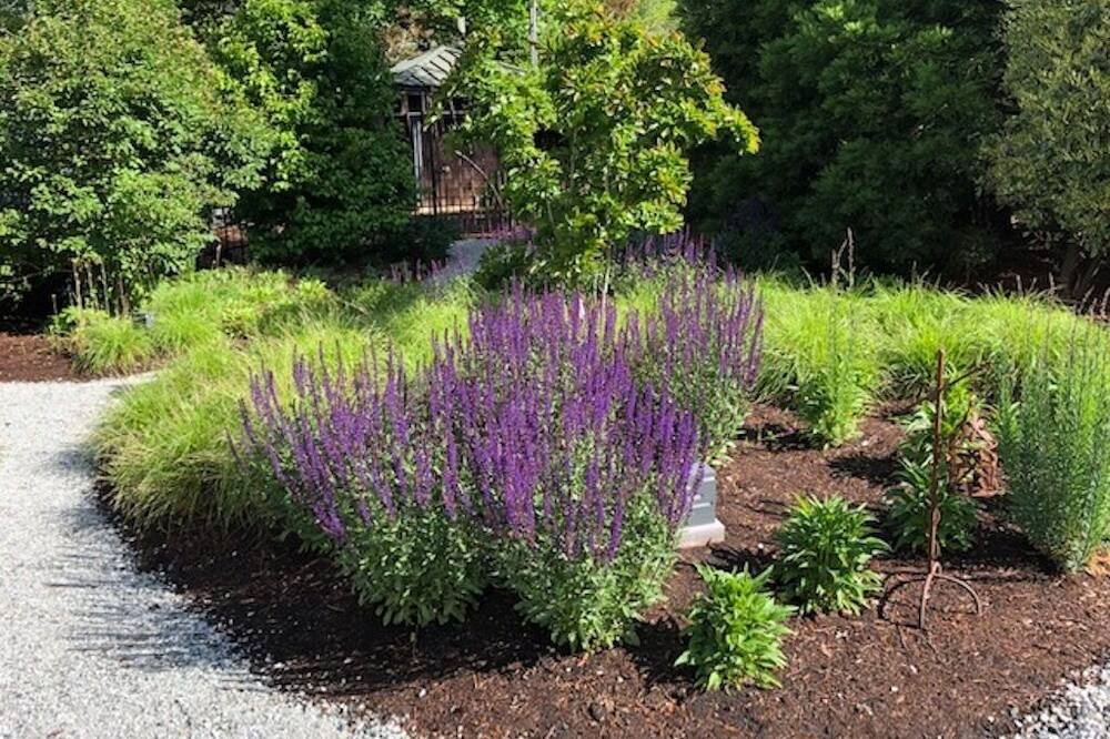 Photo of Outdoor in Salt Spring Island