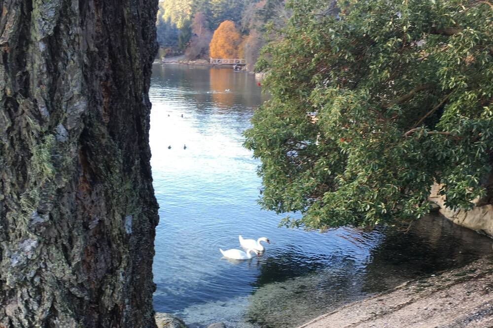 Photo of Others in Salt Spring Island