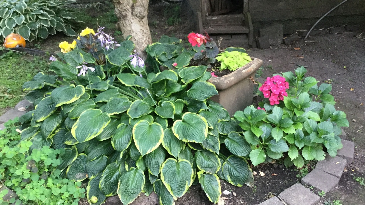 Photo of Outdoor in Riley Park