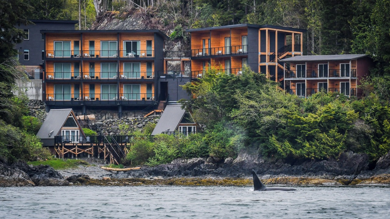 Photo of Outdoor in Tofino